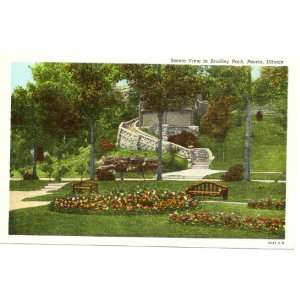 1940s Vintage Postcard Scenic View in Bradley Park   Peoria Illinois