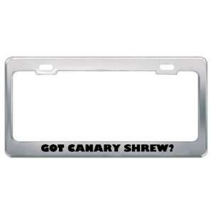 Got Canary Shrew? Animals Pets Metal License Plate Frame Holder Border 