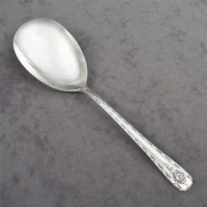 Elegance by Anchor Rogers, Silverplate Berry Spoon 