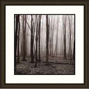  Winter Woods by Erin Clark   Framed Artwork
