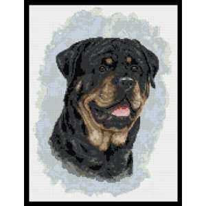  Rottweiler No2 Dog Counted Cross Stitch Kit Everything 