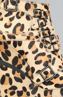 Sole Boutique The Mercer Shoe in Leopard  Karmaloop   Global 