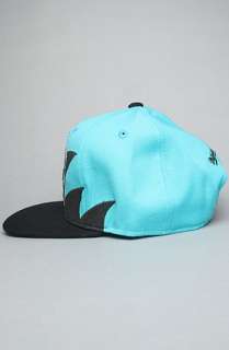 Mitchell & Ness The Vancouver Grizzlies Sharktooth Snapback Hat in 