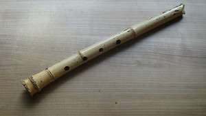 Jinashi Shakuhachi japanese bamboo flute  