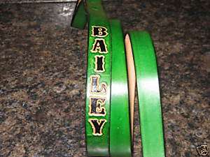 CUSTOM MADE LEATHER DOG LEASH WITH NAME KELLY GREEN  