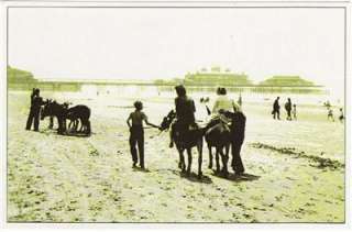 Postcard Donkey Rides Beach Sand Pier BLACKPOOL 1950  