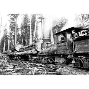 Vintage Art Logging Train   03496 3