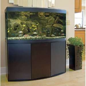  Vicenza Aquarium Kit 260, 65.5 gallon aquarium Color 