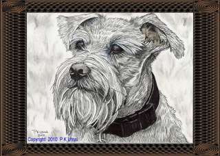 Dog Art,Pencil&Ink Drawing,Schnauzer Print #12,PK Ufnal  
