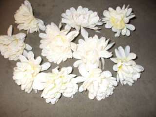 10 Cream Silk Dahlia Flowers Heads No Stems J071  