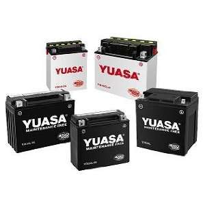   Yuasa Conventional 6V Battery 6N2A 2C 3 YUAM262C3 Automotive