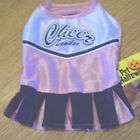 pink cheerleader costume  