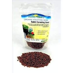 Organic Radish Sprouting Seeds  1/4 Lbs (4 Oz)  Radish Seed for 