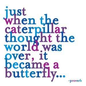 Just When The Caterpillar Thought The World Was Over. Color Magnet 