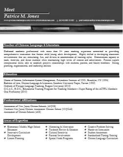 Professional Resume Writing Service  FREE COVER LETTER  
