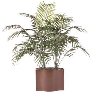   Tropical Green Dwarf Palm Tree in Sleek Brown Pot