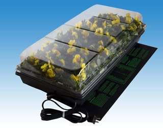We have more than one germination station for sale, please email us if 