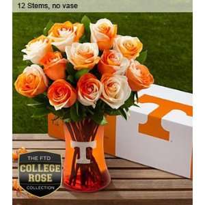 The FTD University Of Tennessee Vols Rose Flower Bouquet   12 Stems 