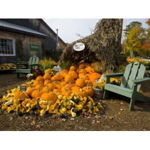 Gourds at the Moulton Farm farmstand in Meredith, New Hampshire, USA 