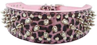 17 20 Studed Spikes Leopard Leather Dog Collar Amstaf  