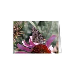  Butterfly on a Cone Flower/Thank you Card Health 