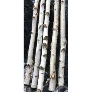  White Birch Poles   Five Poles 1.5 to 3 D x 4 ft Sports 