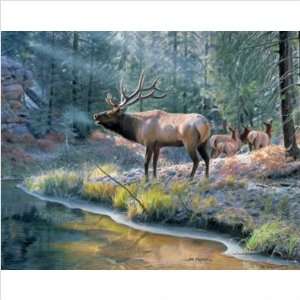   Canyon Elk Outdoor Art   Jim Kasper Size 32 x 24
