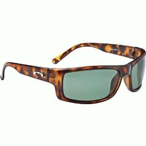  Basecamp Assort Polarized