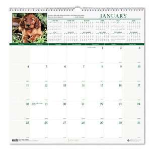  House of Doolittle  Puppies Monthly Wall Calendar, 12 x 