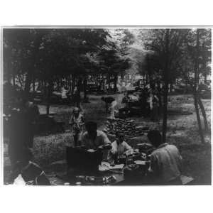   Picnic area, Wildwood State Park, 1936,Long Island, NY
