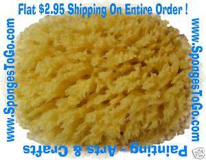 NATURAL OCEAN ARTIST ART SEA SPONGE YELLOW 7 8 SIZE  