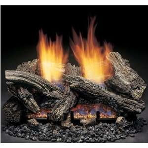   Propane Gas Log Set   Millivolt On/Off Remote Ready