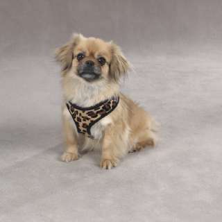 East Side Collection Padded Plush Print Dog Harness  