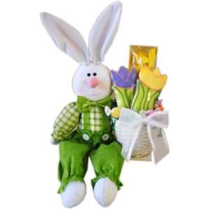 Blue or Green Plush Rabbit Sitting with Goodie Filled Basket  