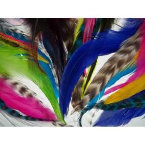  Feather Hair Extensions Salon Sets 
