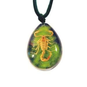  Ed Speldy East SP202 Real Bug Necklace Scorpion Large 