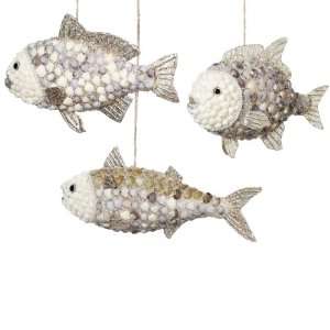  Seashell Fish Ornaments Set of 3
