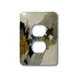   abstract   Light Switch Covers   2 plug outlet cover