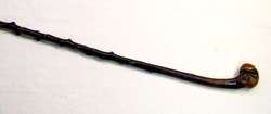   Irish Blackthorn Shillelagh Walking Stick Burled Handle C 1880  