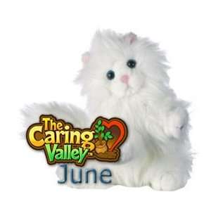  Webkinz Caring Valley Persian Plush Cat Toys & Games